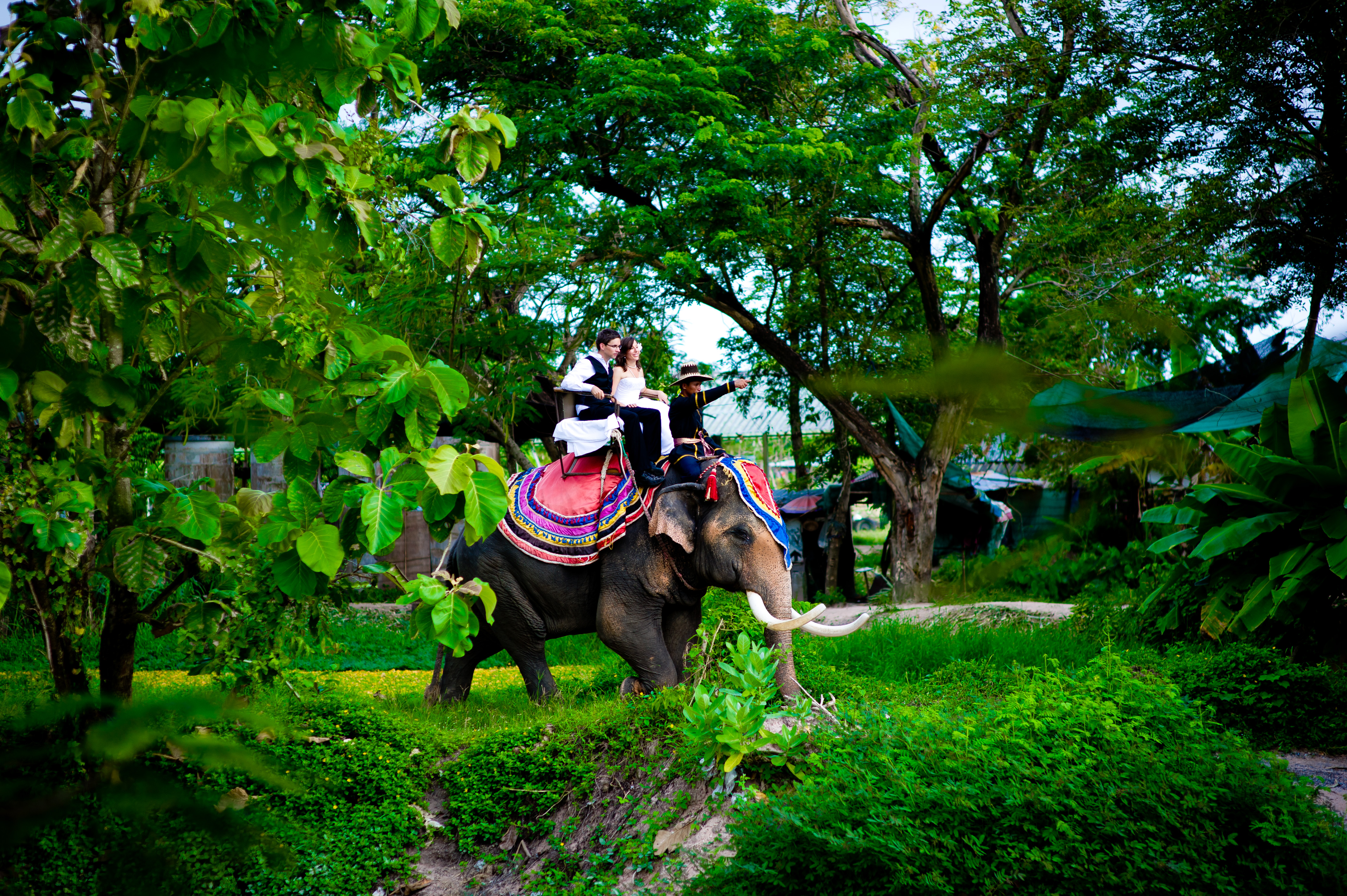 Pattaya Thailand Wedding Photography: Rabbit Resort